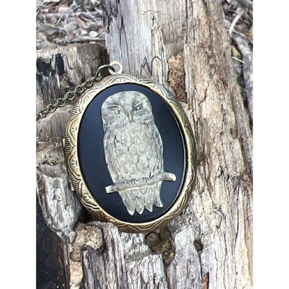 COPY - CHRISTMAS GIFT MOM GRANDMA CAMEO OWL LOCKET BRONZE GOLD NECKLACE PILL BO… - Picture 1 of 11